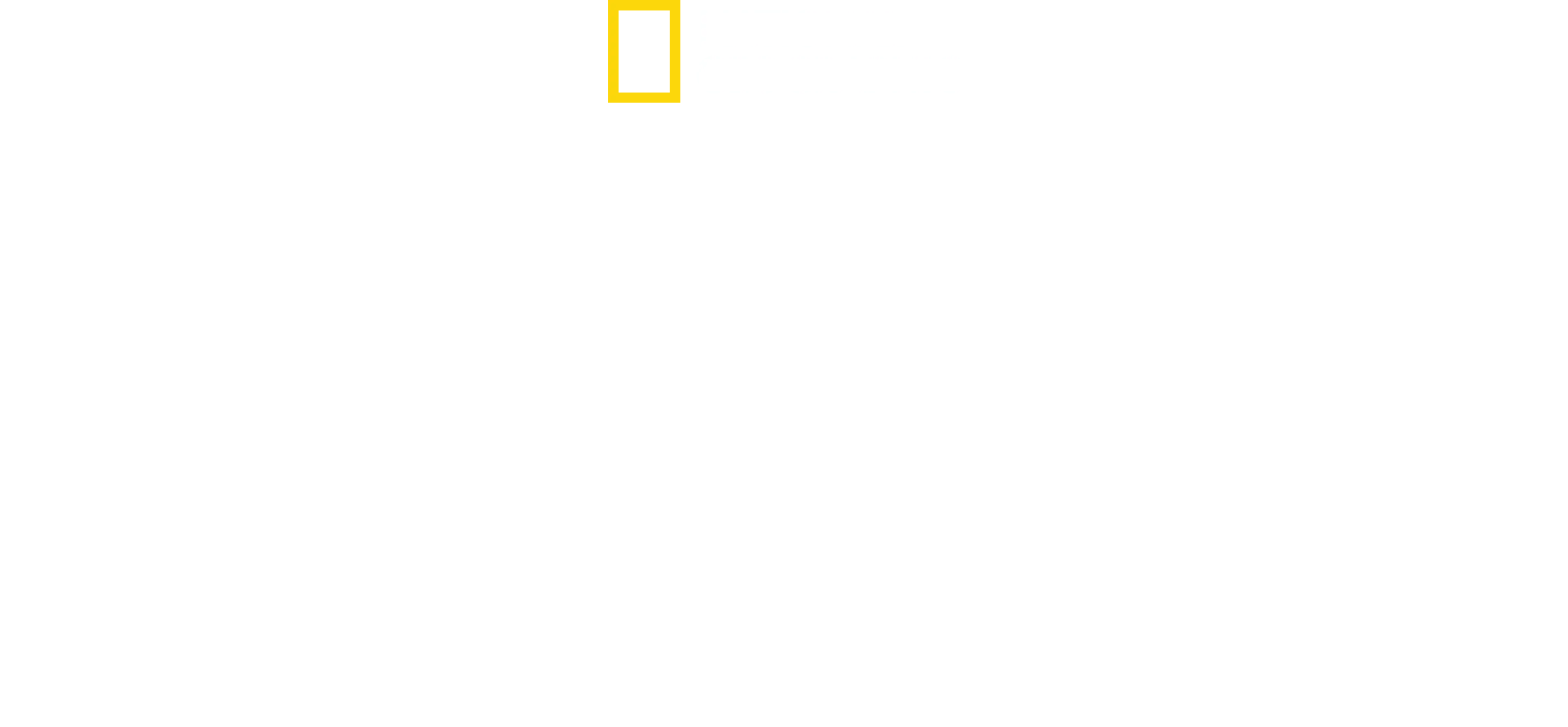 Thailandia: Il Regno Dei Felini