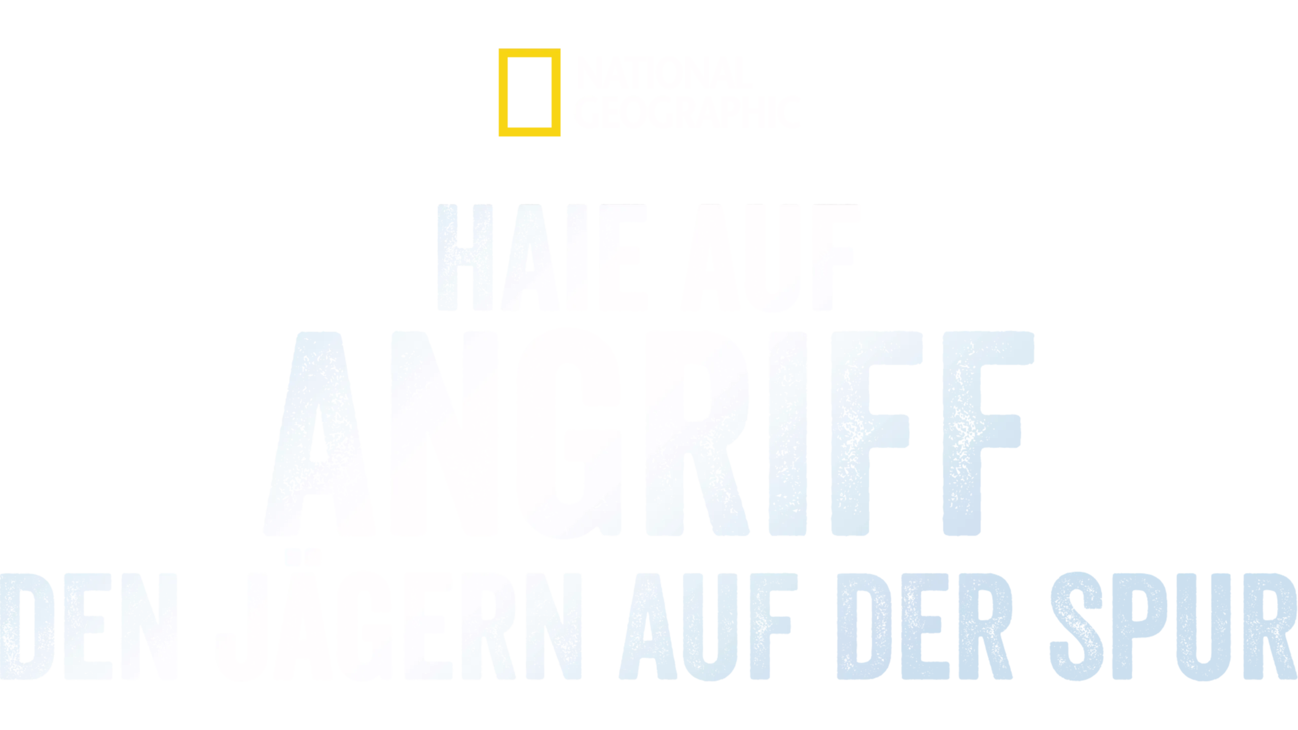 When Sharks Attack... And Why