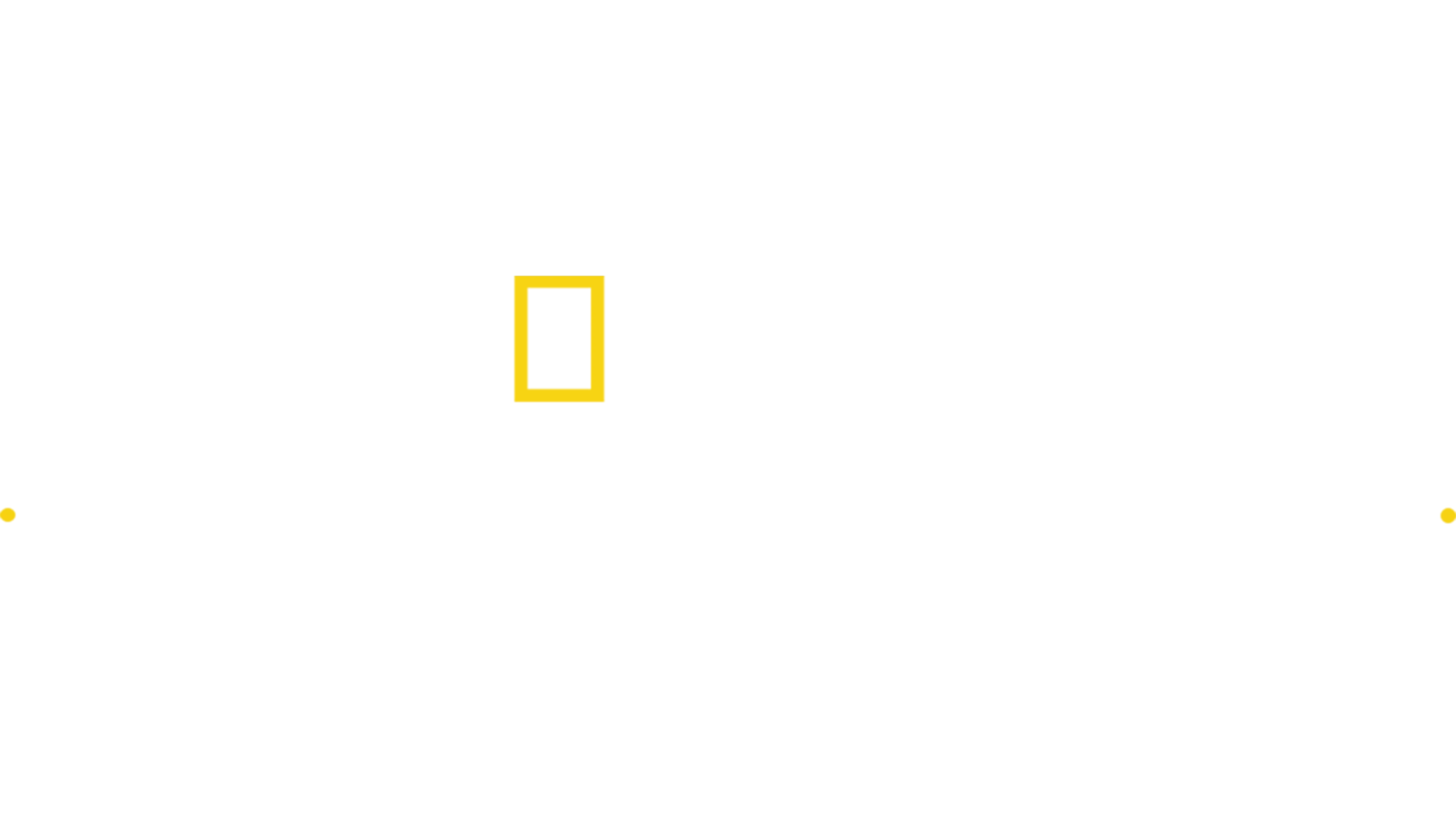 Yukon Veterineri