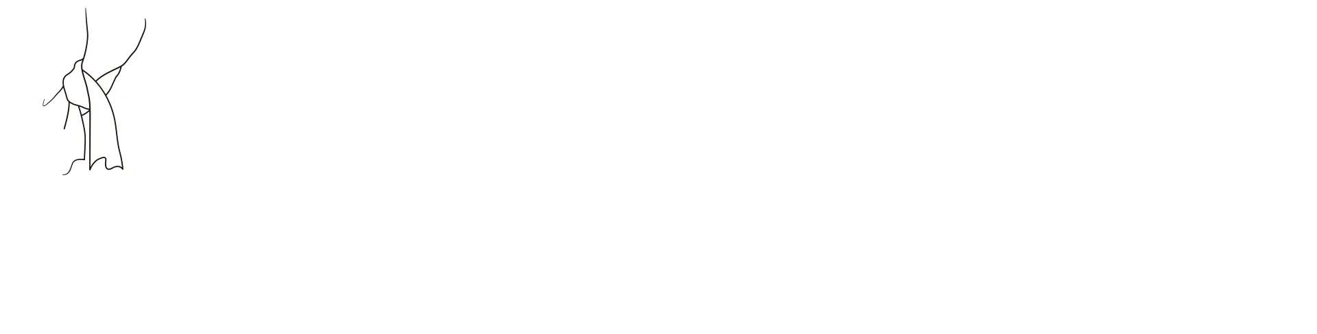 超時空要塞 Flash Back 2012