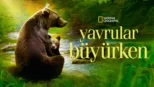 thumbnail - Yavrular Büyürken