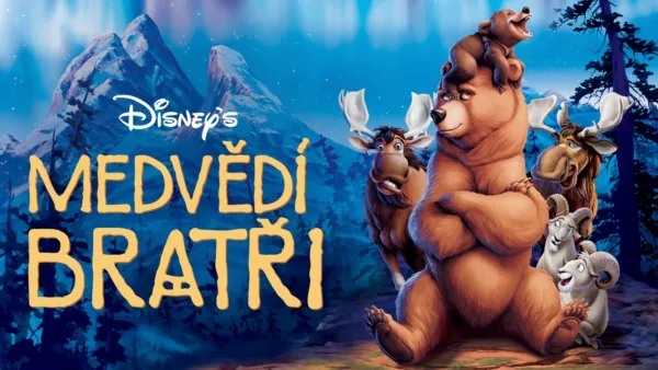 thumbnail - Medvědí bratři