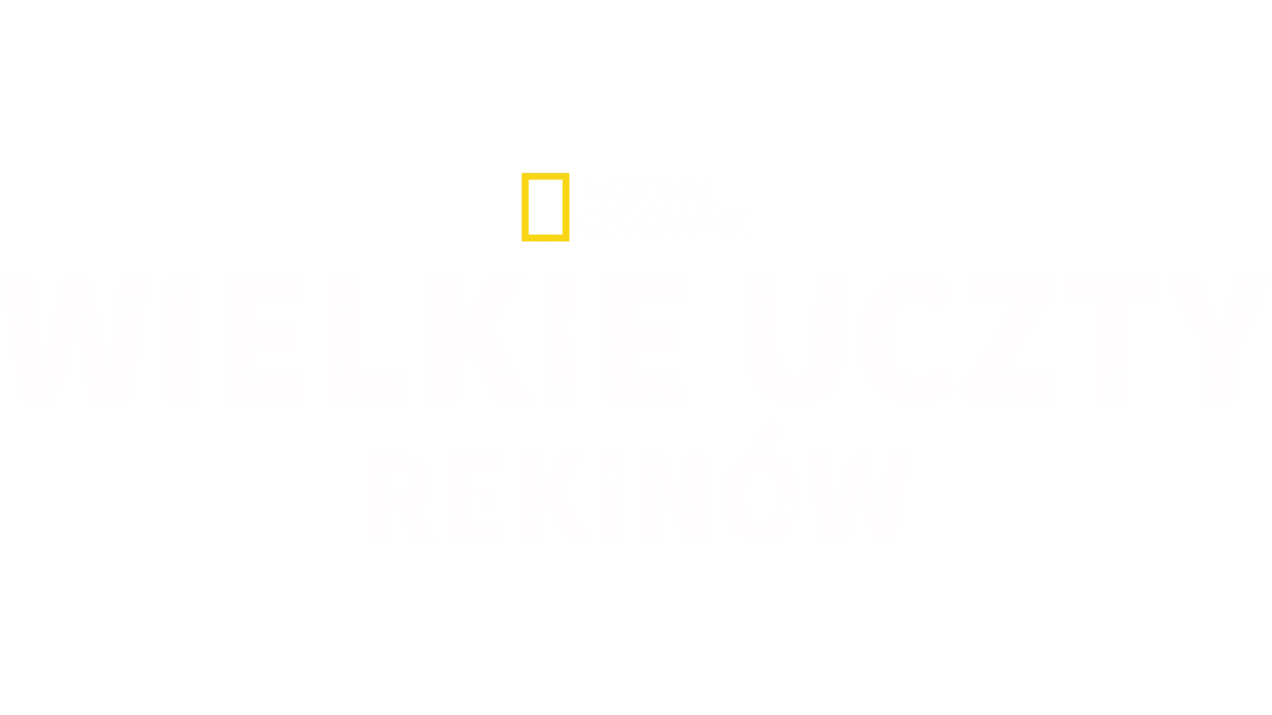 Wielkie uczty rekinów