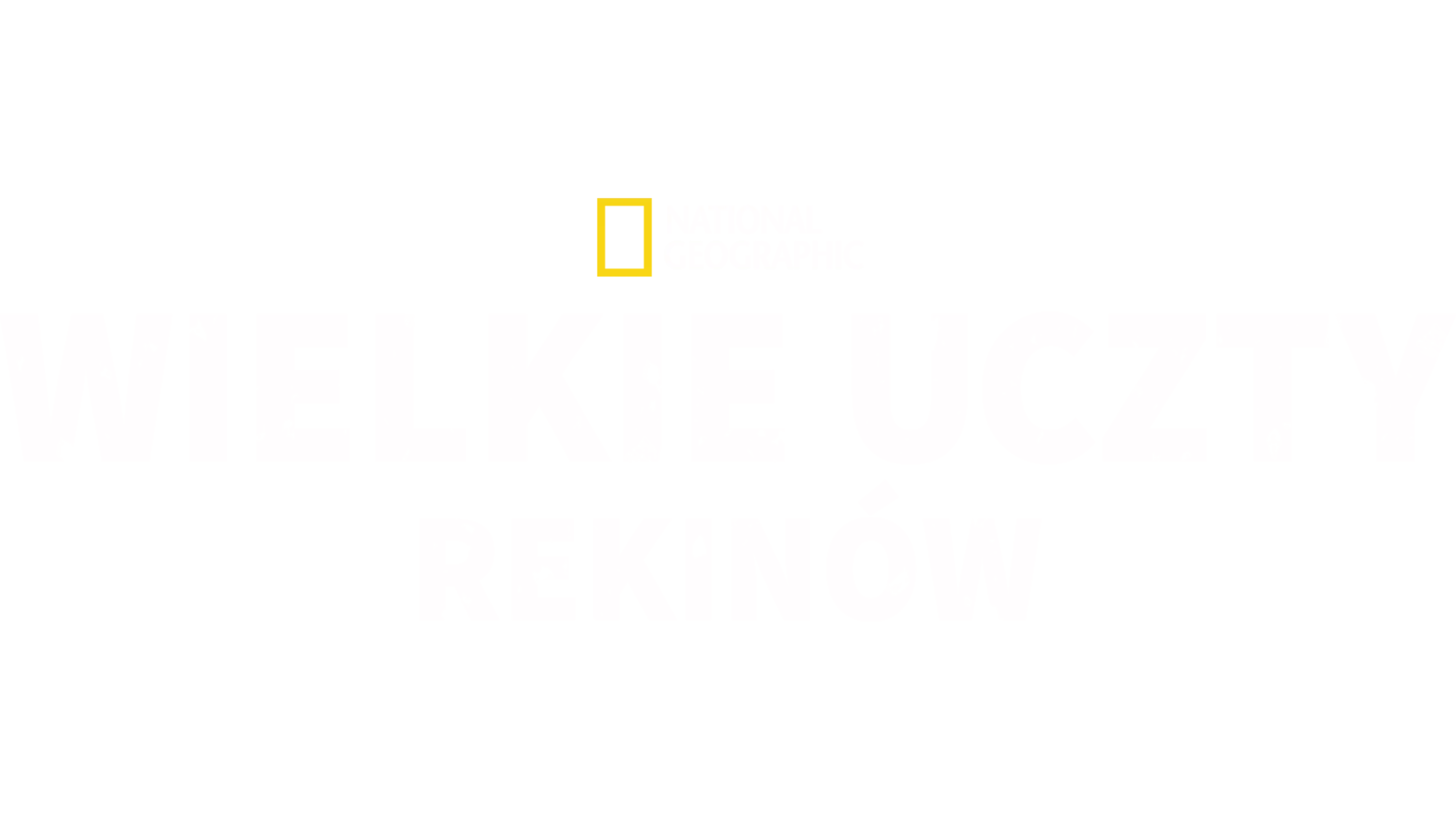 Wielkie uczty rekinów