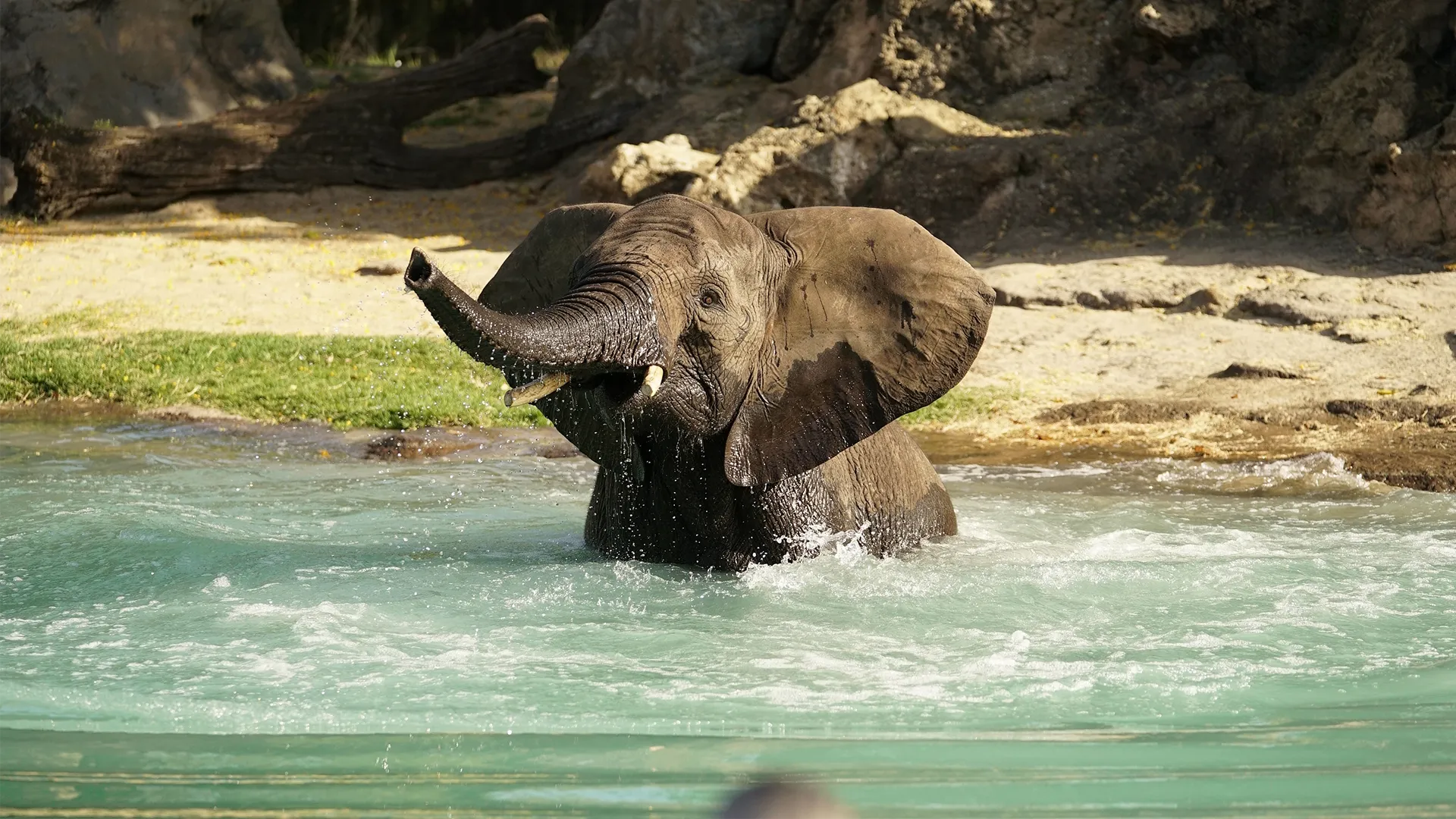 thumbnail - S2:E10 Gesundheit, Jolo!