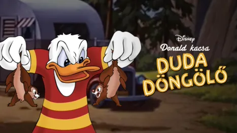 thumbnail - Duda döngölő