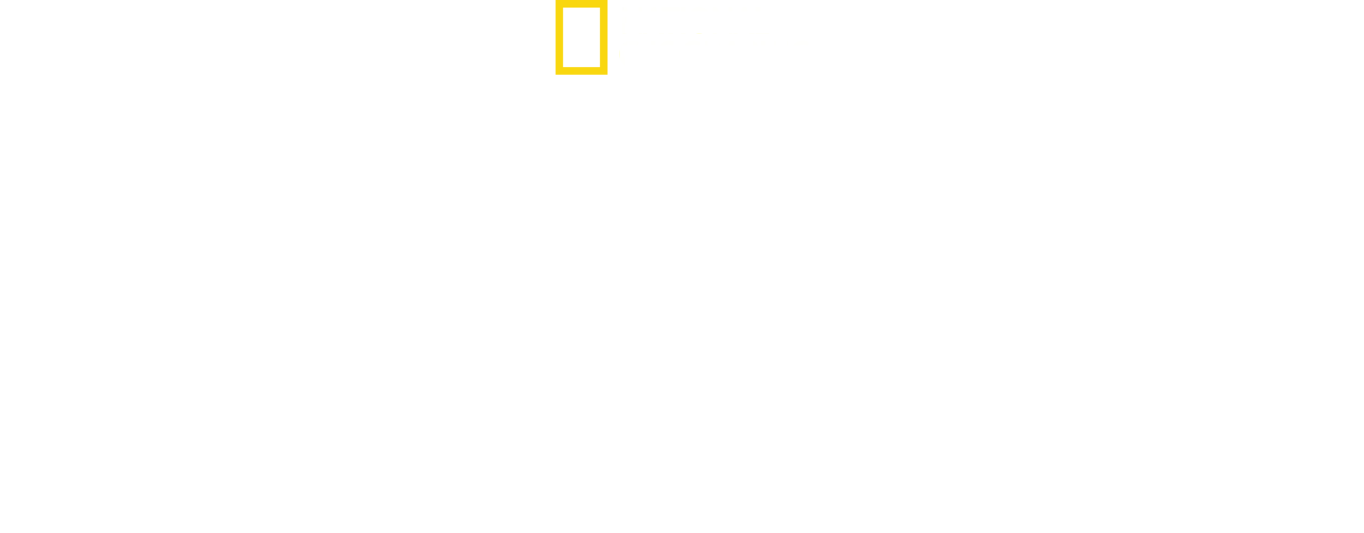 Killer Shark vs Killer Whale