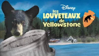 thumbnail - Les louveteaux de Yellowstone