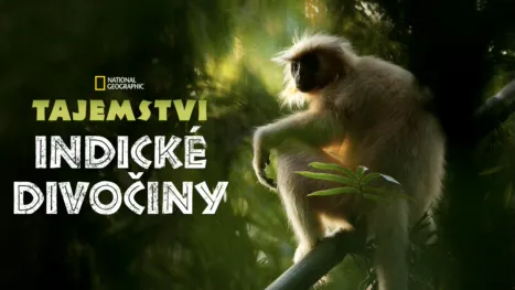 thumbnail - Tajemství indické divočiny