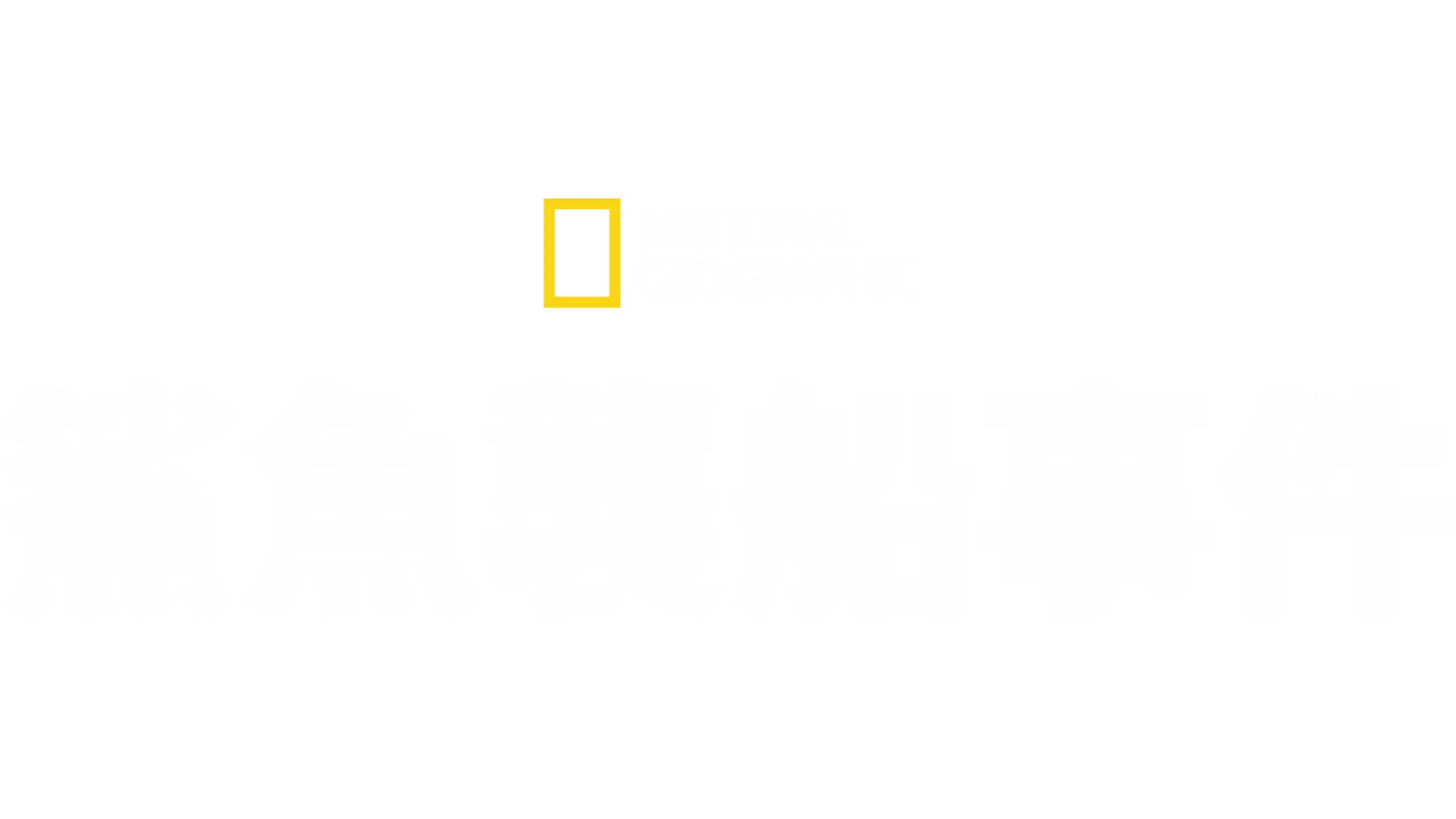 鯊魚襲船事件