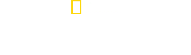 鯊魚襲船事件