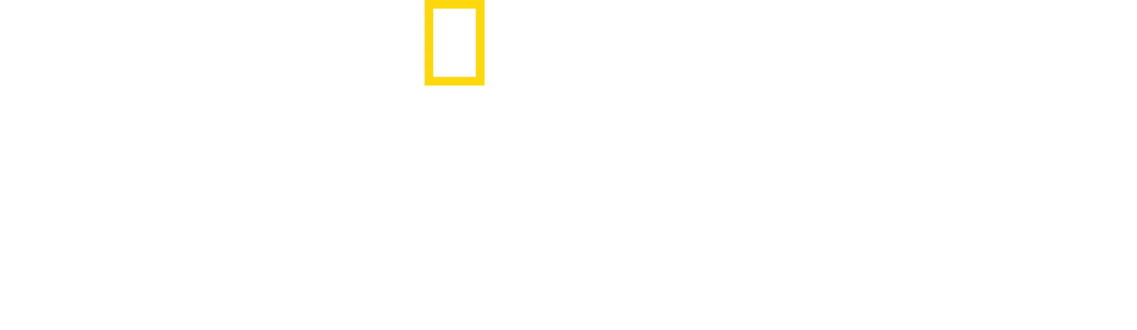 鯊魚襲船事件