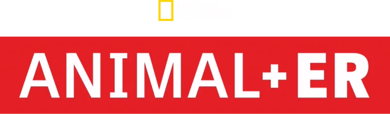 Animal ER