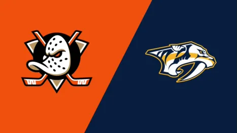 thumbnail - Ducks Broadcast