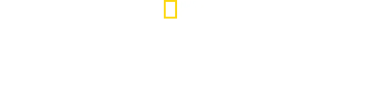 Der Strand der Haie mit Chris Hemsworth