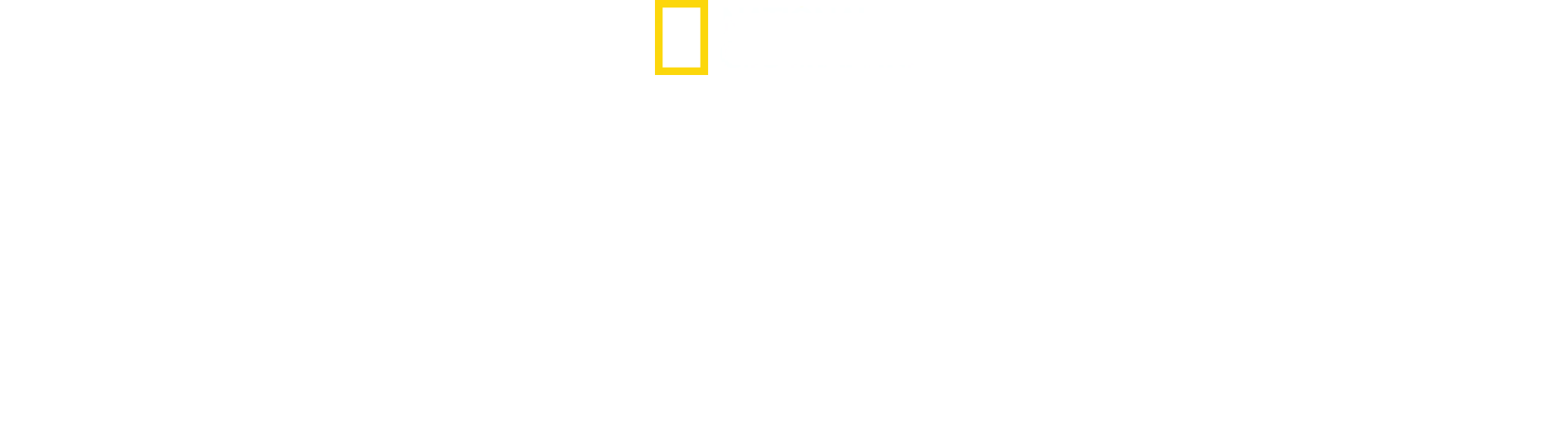 Der Strand der Haie mit Chris Hemsworth