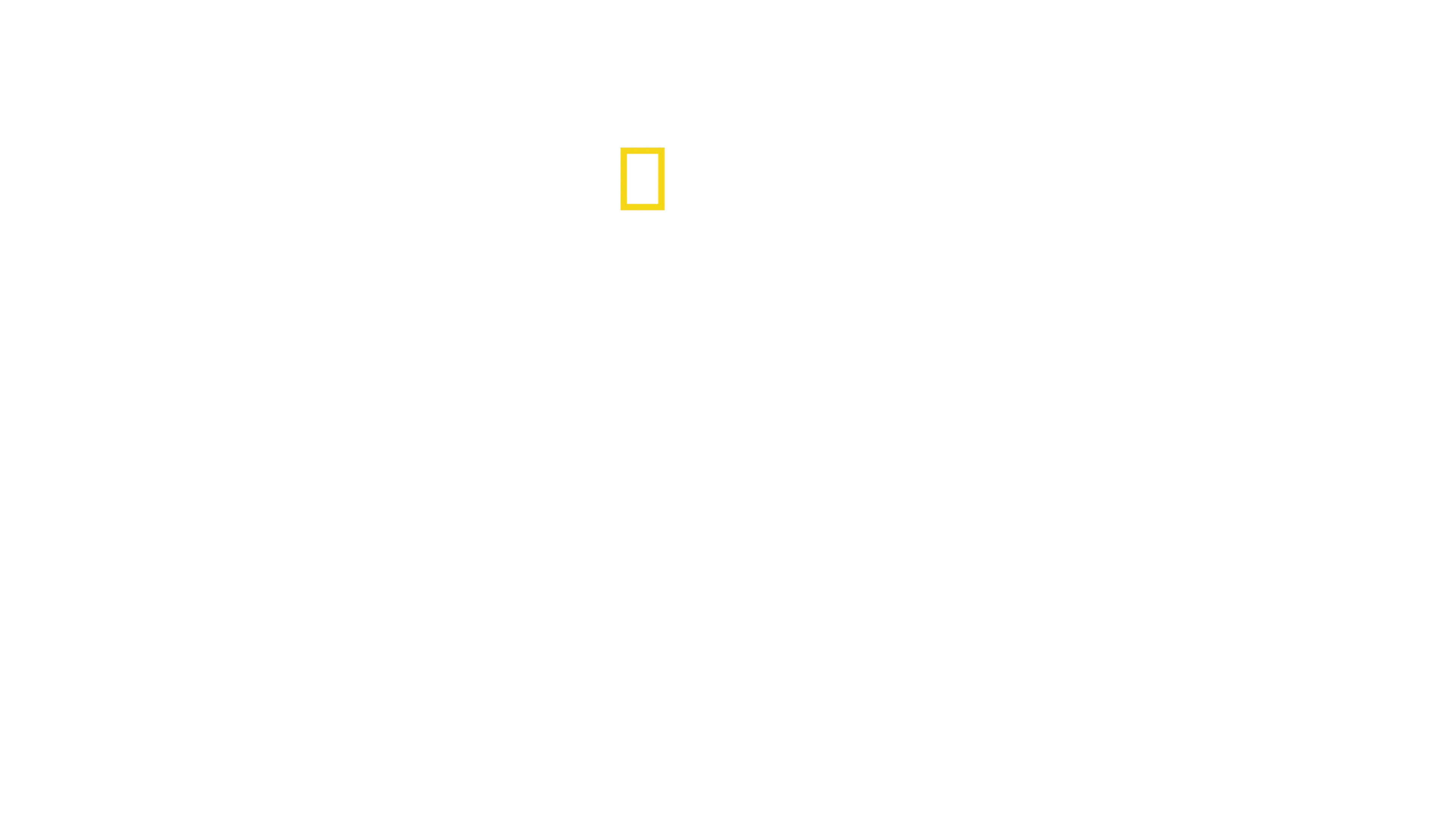 Planeta păsărilor
