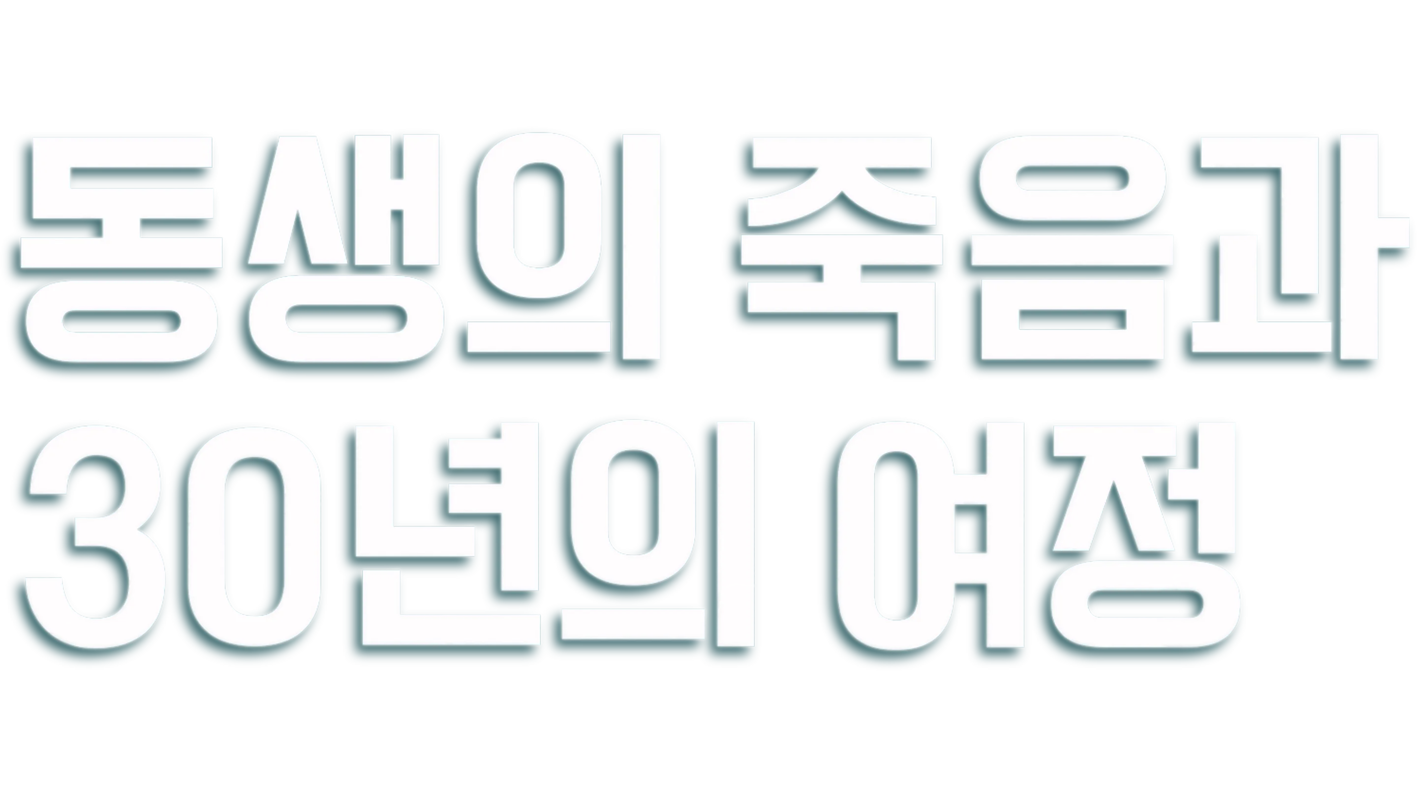 동생의 죽음과 30년의 여정