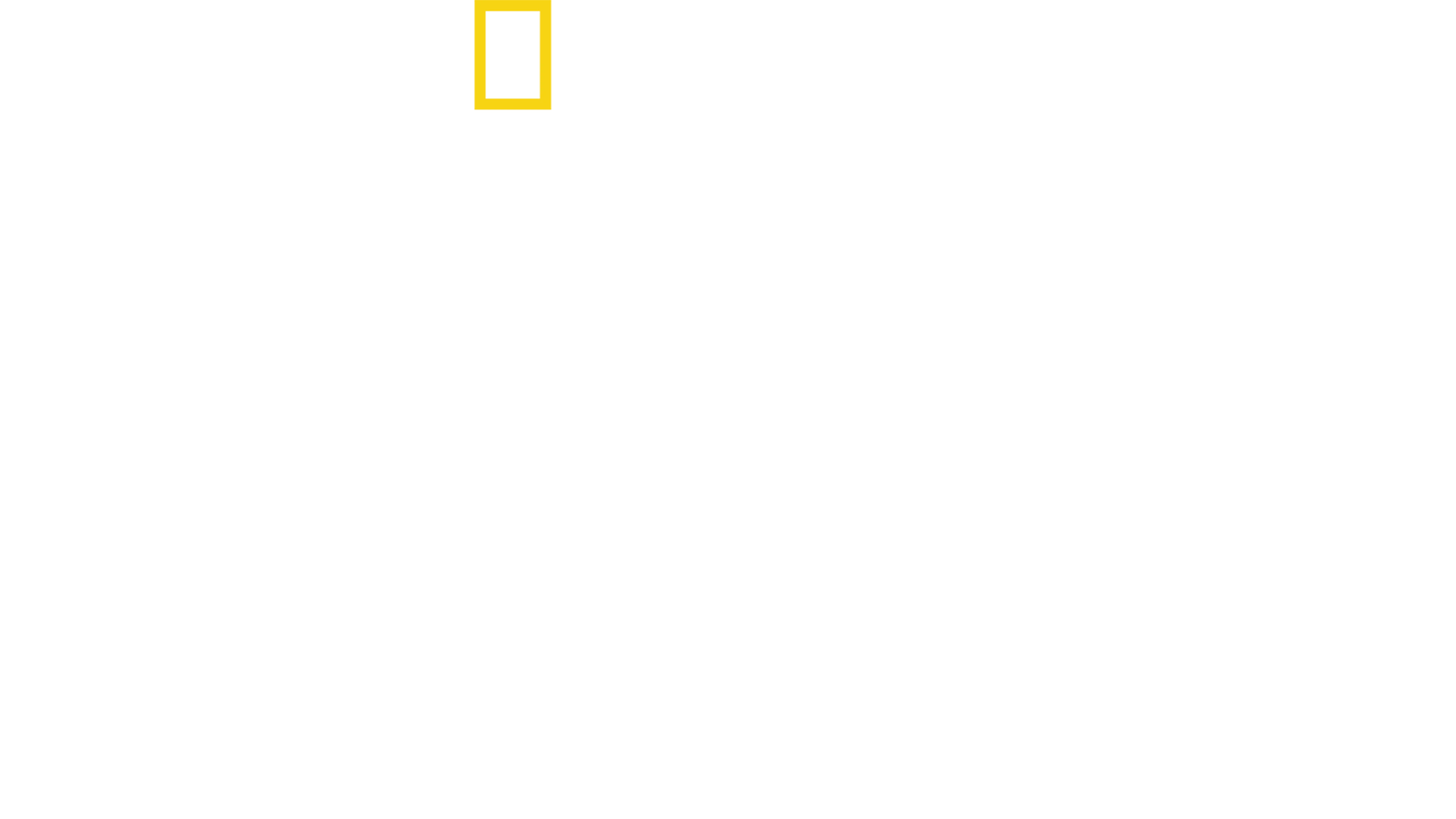 D-nap: Szemtanúja voltam