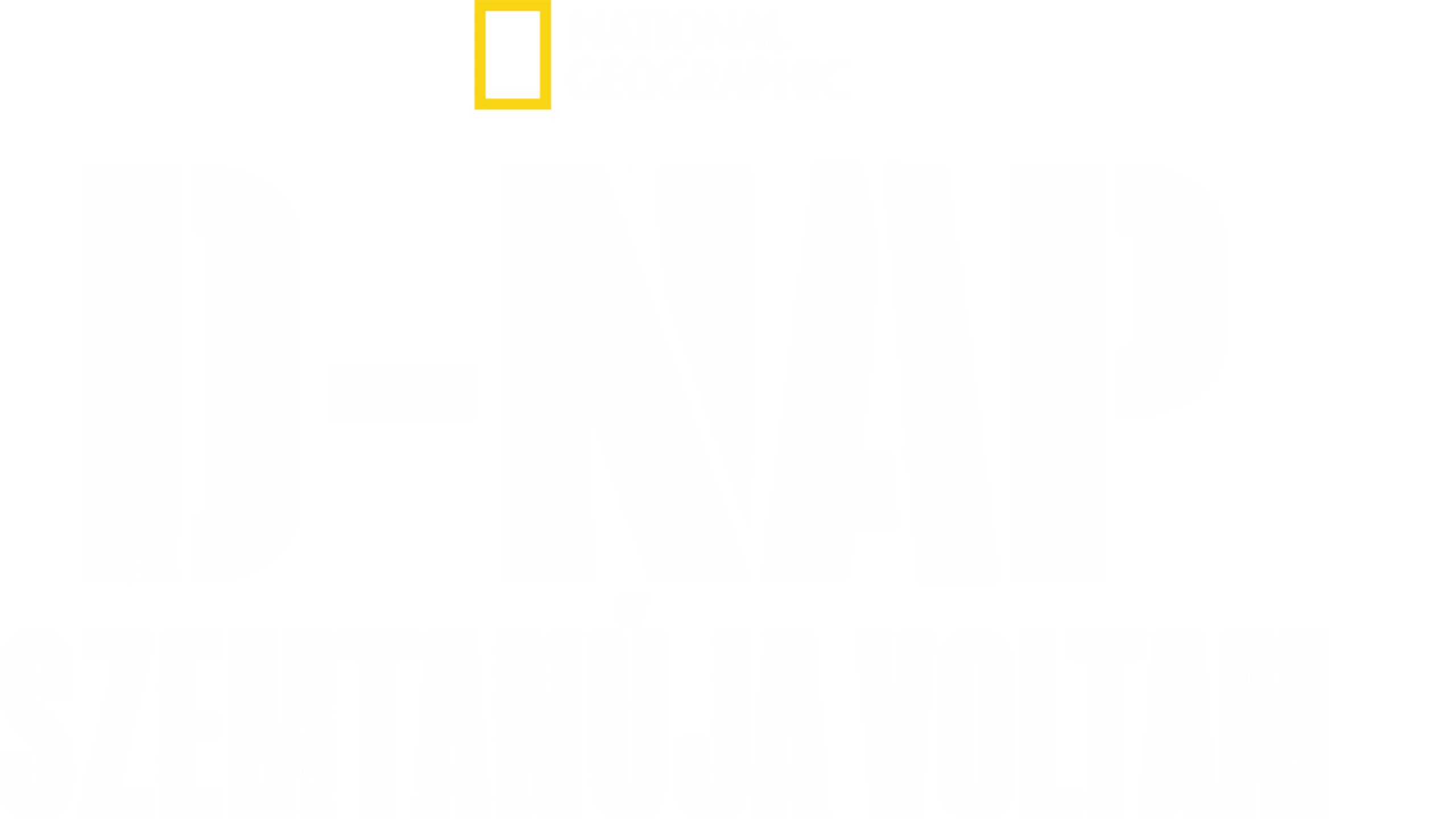 D-nap: Szemtanúja voltam