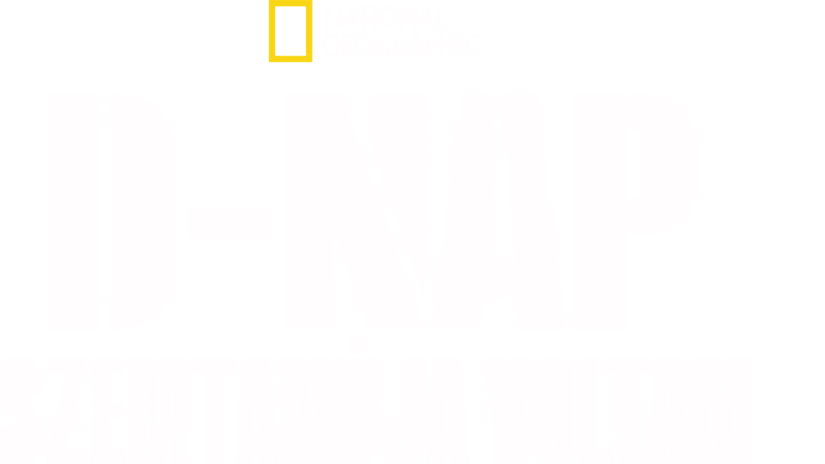 D-nap: Szemtanúja voltam