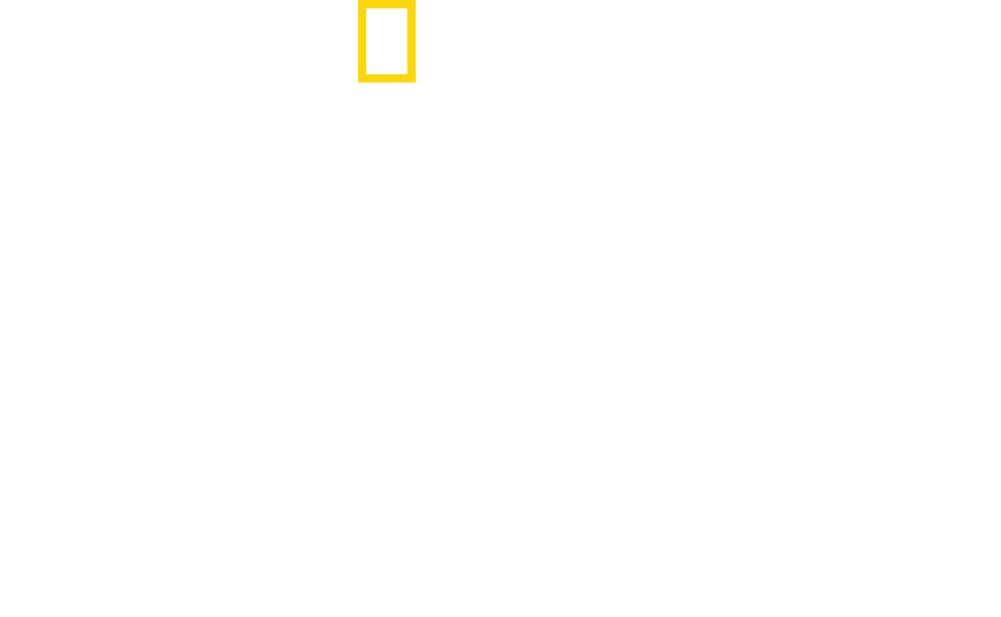 D-nap: Szemtanúja voltam