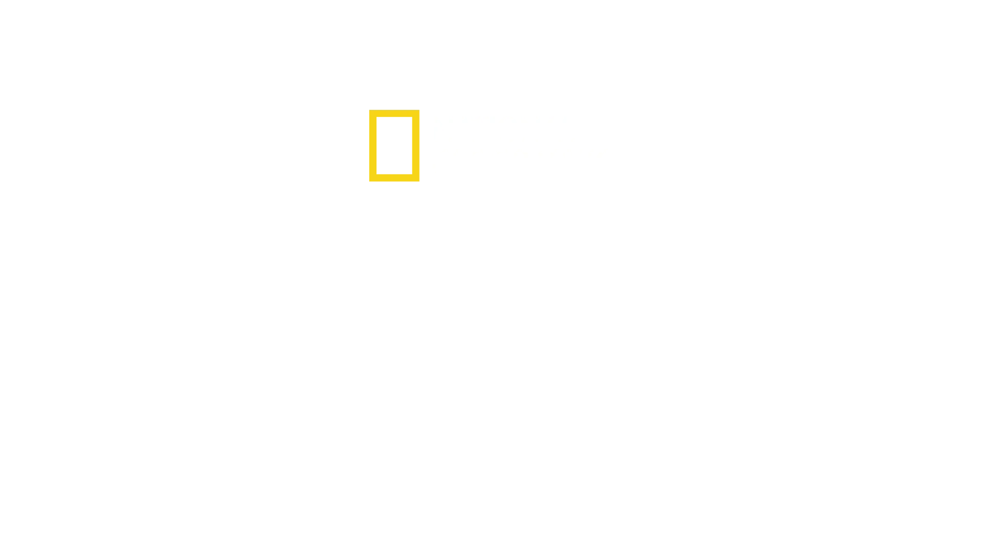 猩猩相識