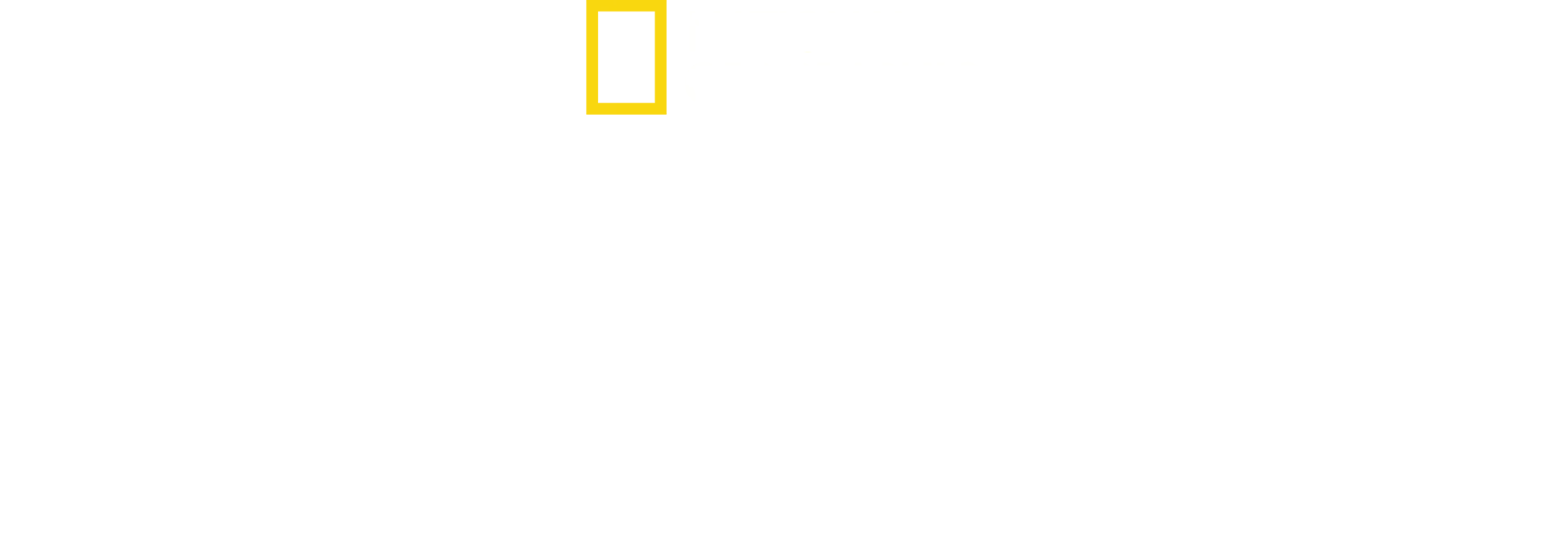 猩猩相識