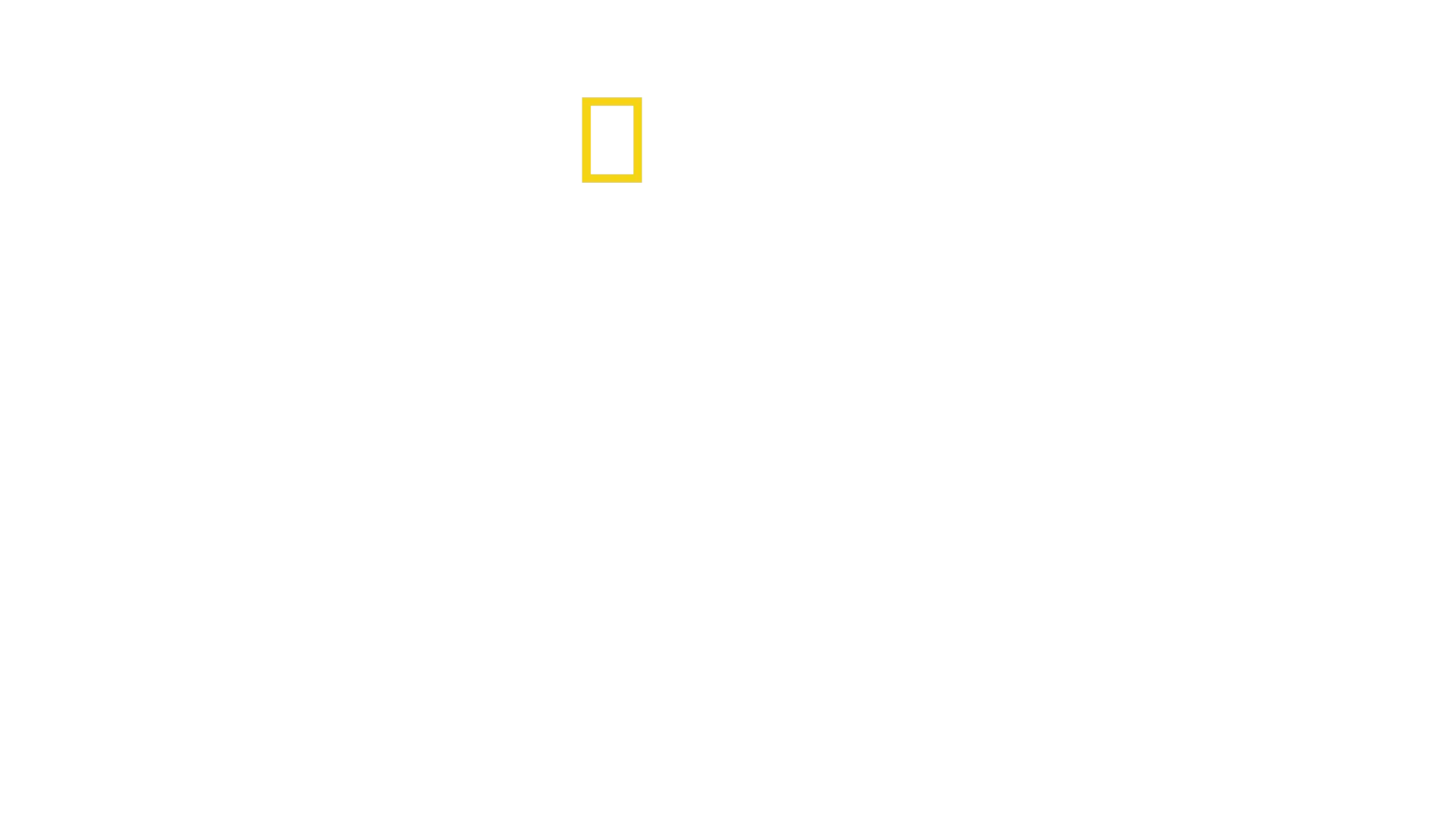 Expedition Amazonas