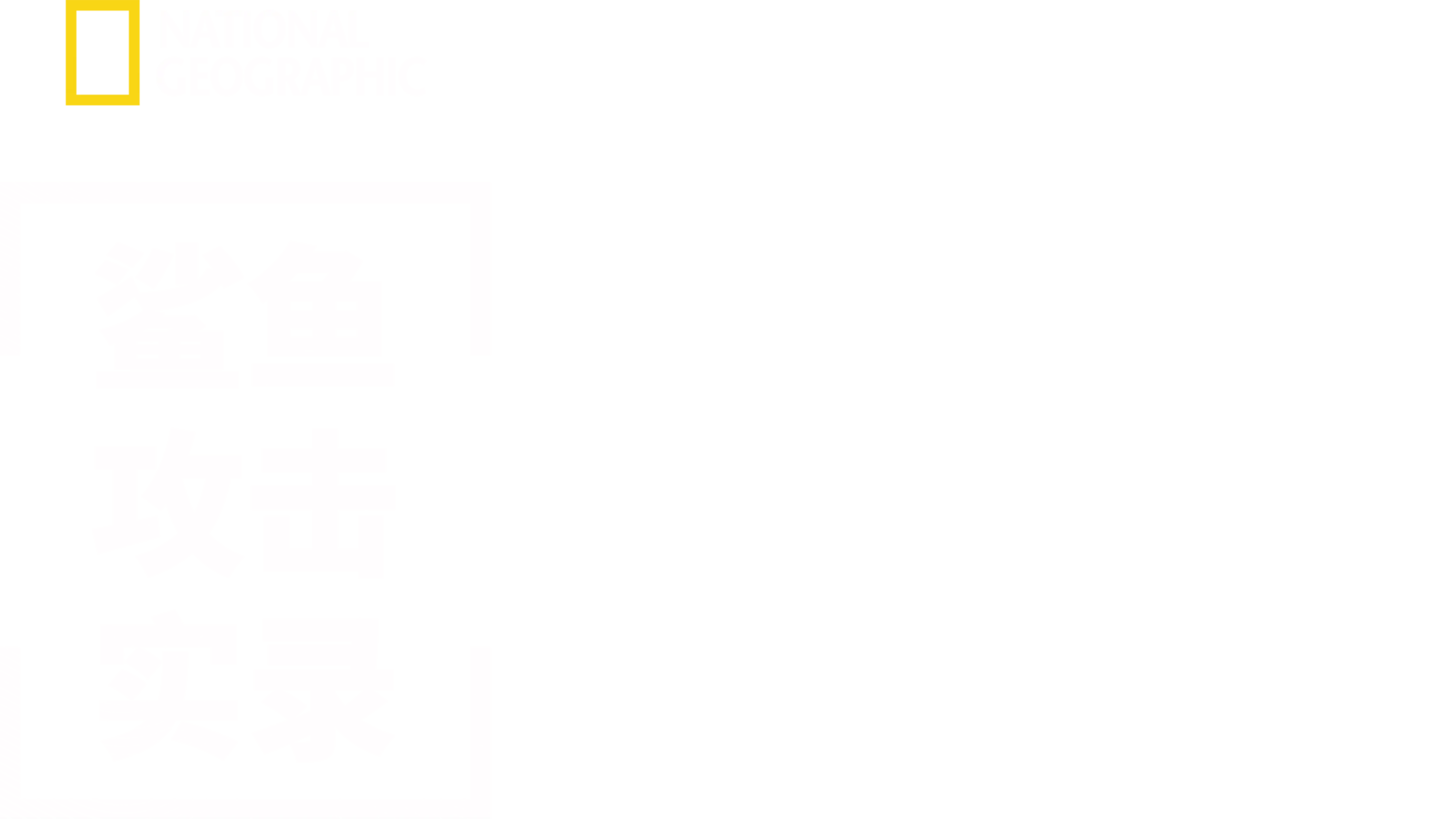 鲨鱼攻击实录
