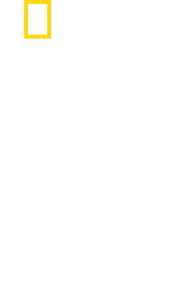 鲨鱼攻击实录