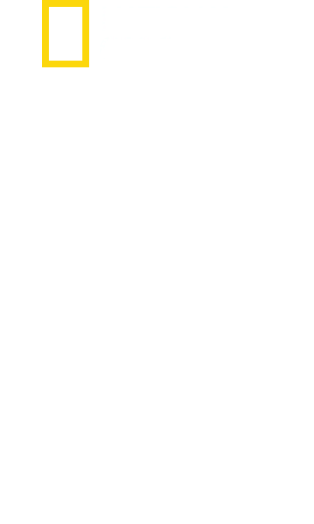 鲨鱼攻击实录