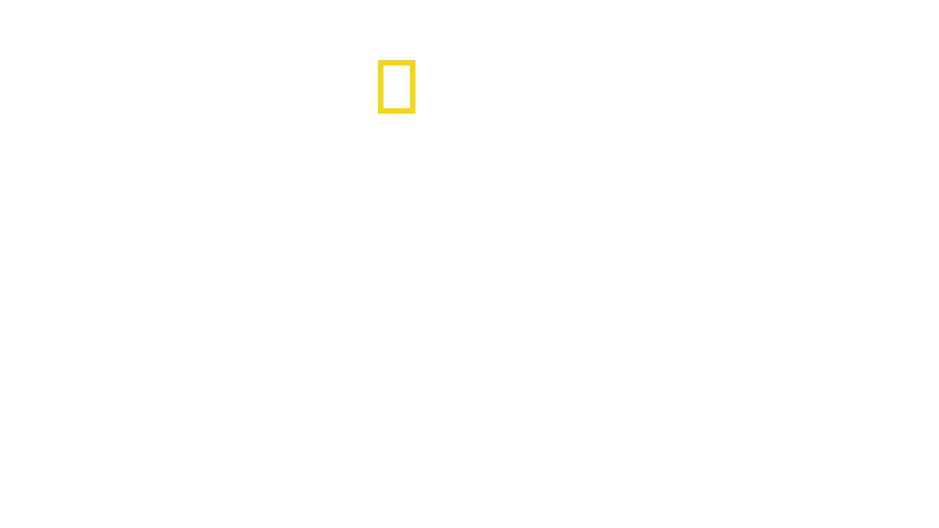 Die Challenger-Katastrophe