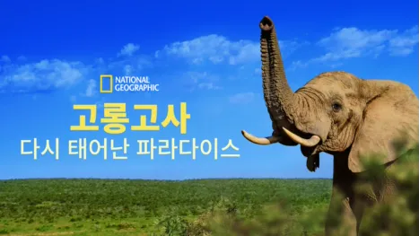 thumbnail - 고롱고사: 다시 태어난 파라다이스
