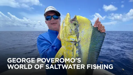 thumbnail - George Poveromo's World of Saltwater Fishing