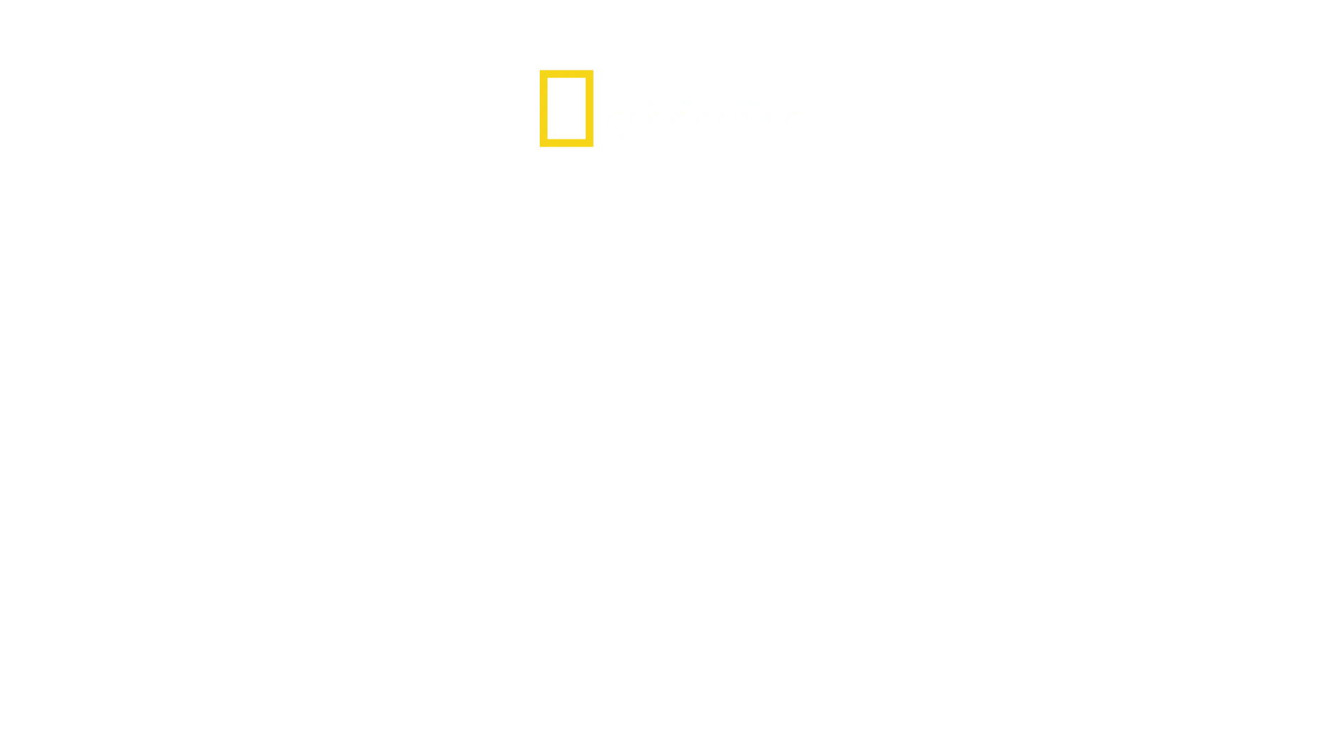 O Mundo dos Animais