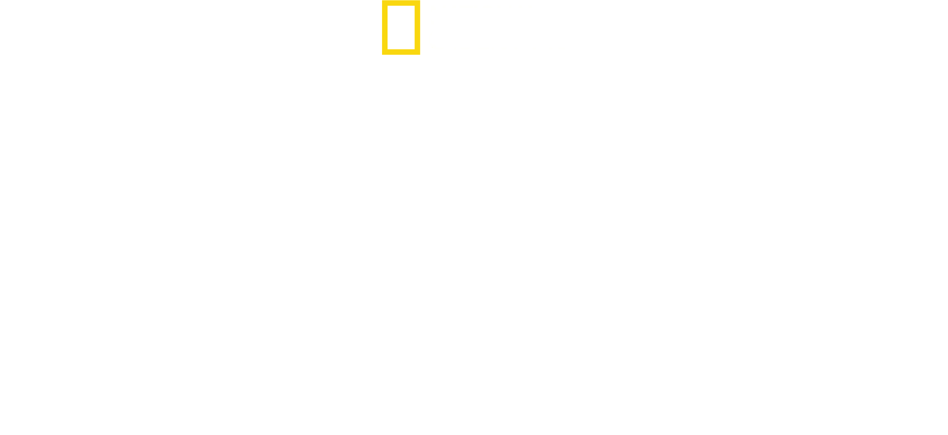 O Mundo dos Animais