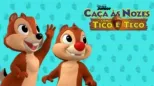 thumbnail - Caça às Nozes com Tico e Teco