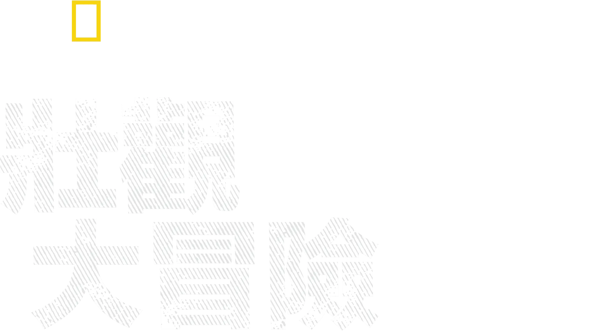 伯蒂古格里的壯觀大冒險
