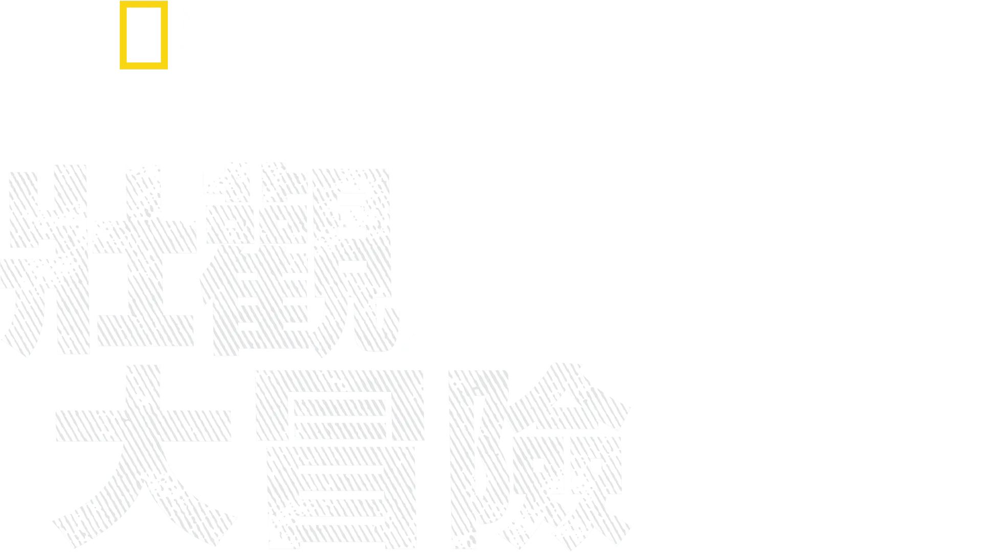 伯蒂古格里的壯觀大冒險