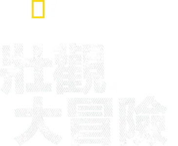 伯蒂古格里的壯觀大冒險
