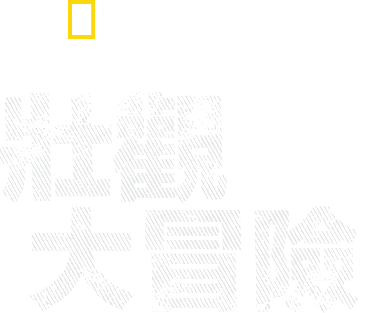 伯蒂古格里的壯觀大冒險