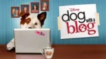 thumbnail - Dog With a Blog