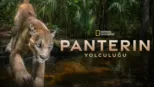 thumbnail - Path of the Panther