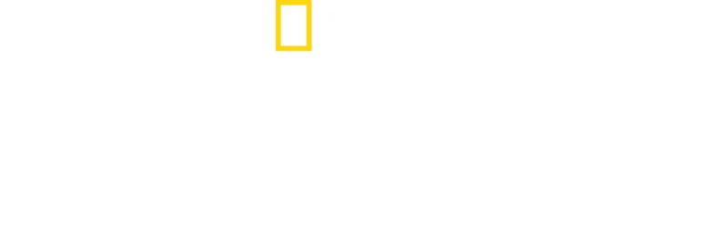 魔咒死域