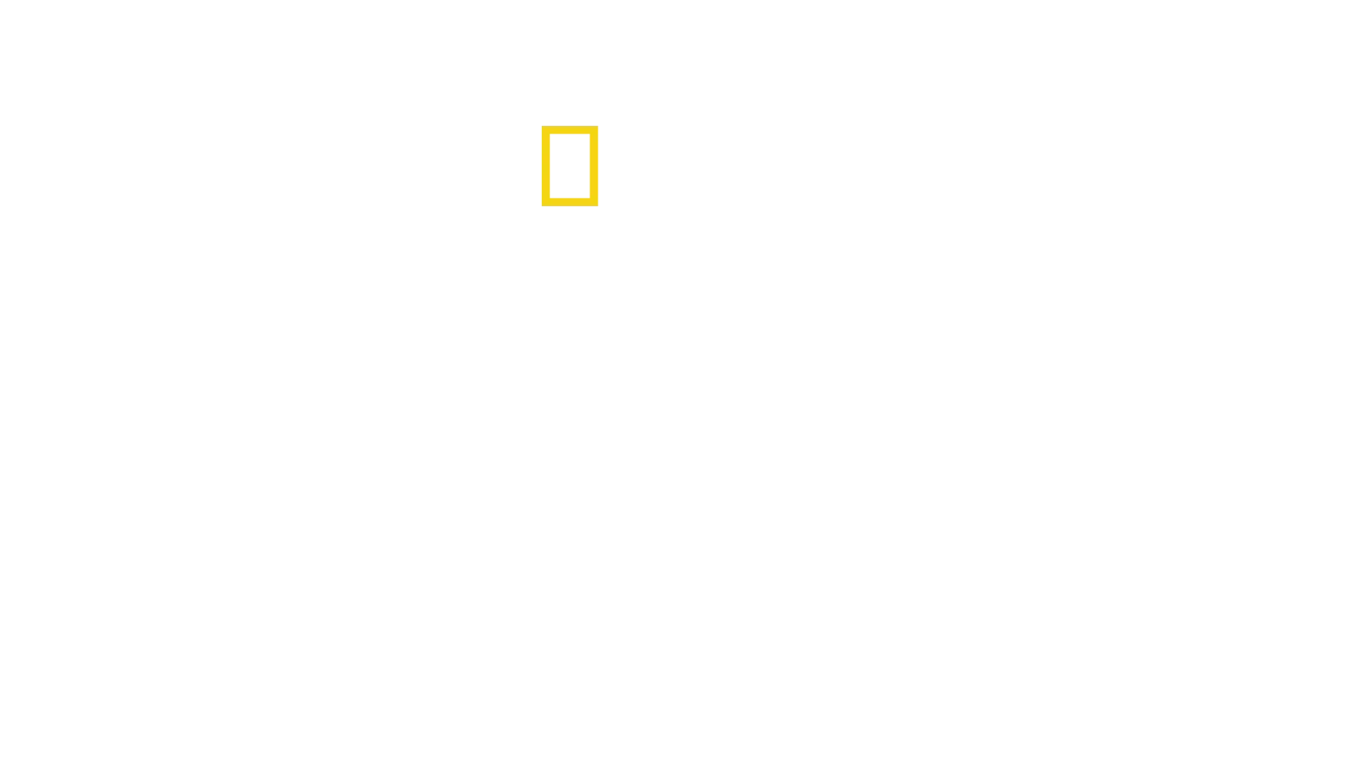 Hampurin satama