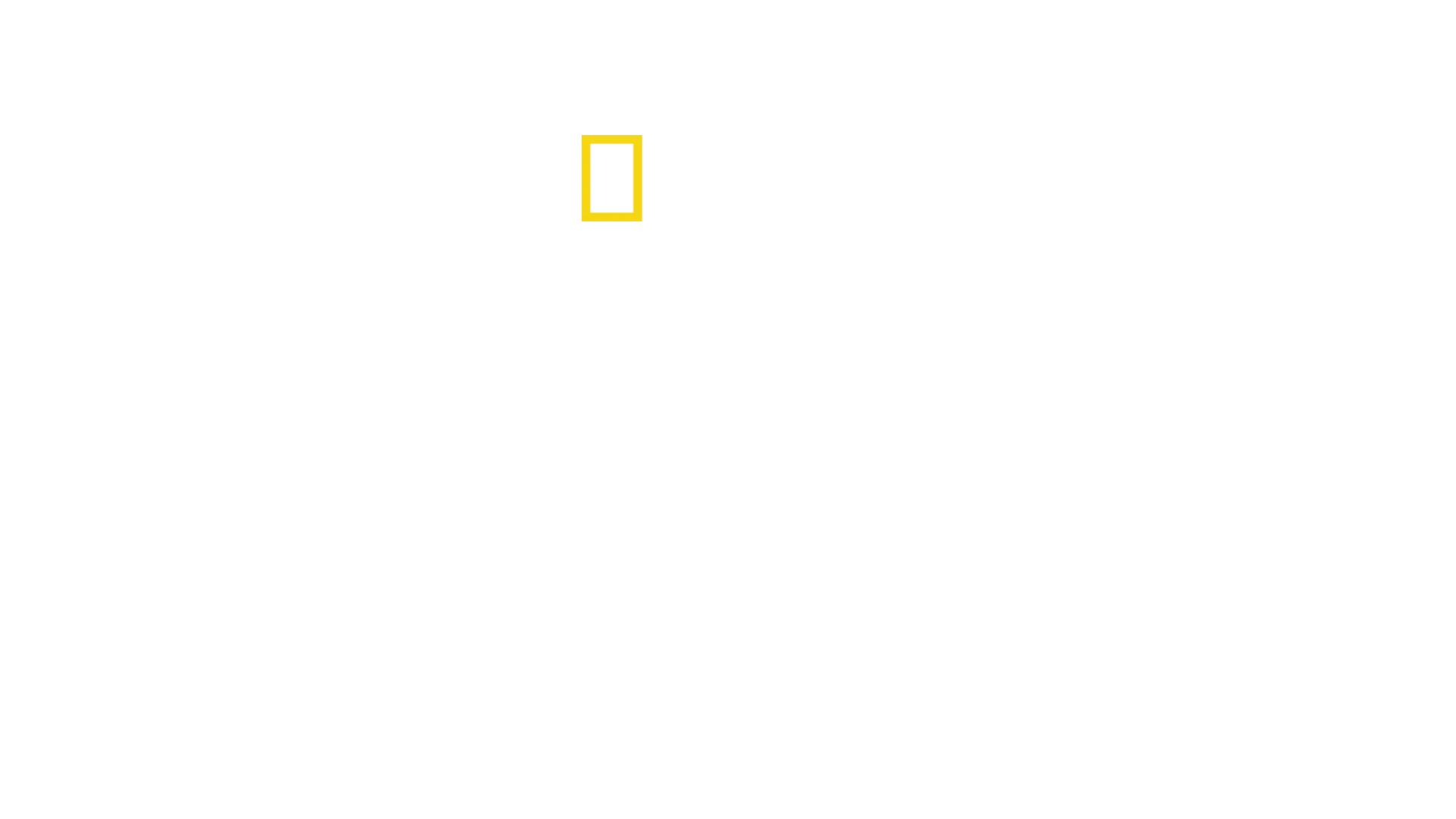 Hampurin satama
