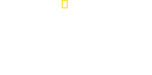 Ekstrem overlevelse: 2. verdenskrig