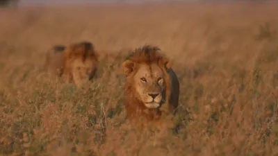 thumbnail - S1:E10 Super Pride