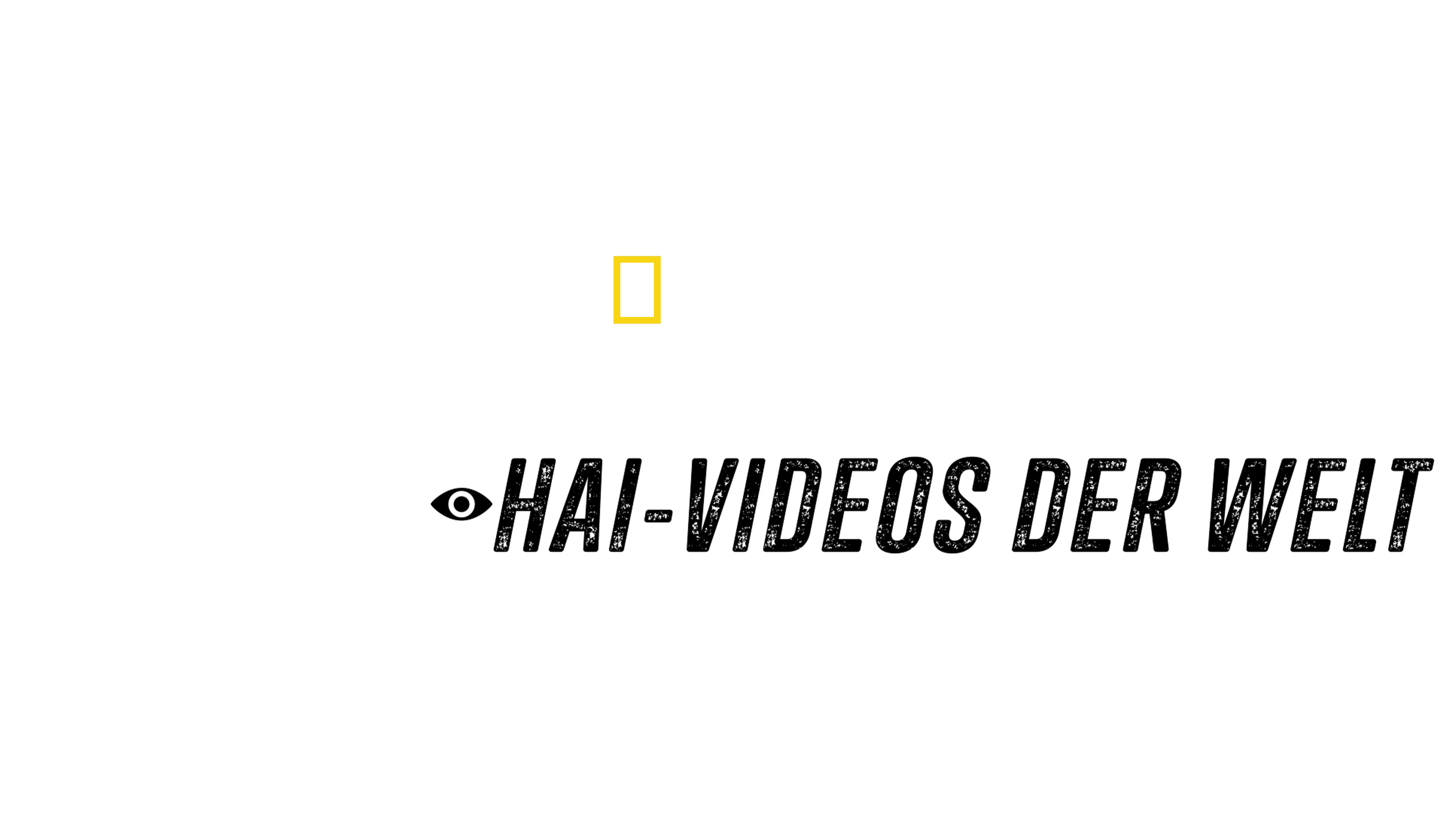 Vorsicht bissig: Die wildesten Hai-Videos der Welt